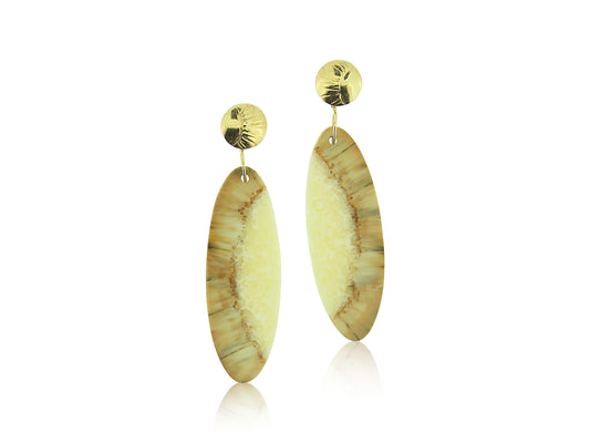 Fossilized Walrus Ivory  Gold Earrings