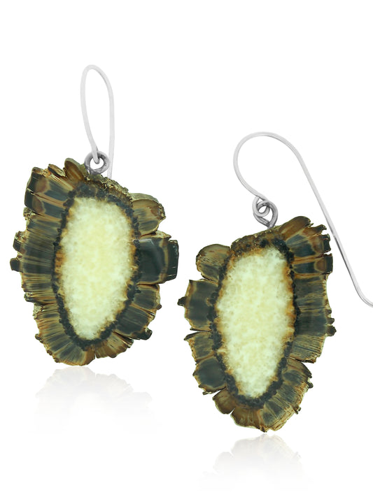 Fossilized Walrus Ivory Earrings